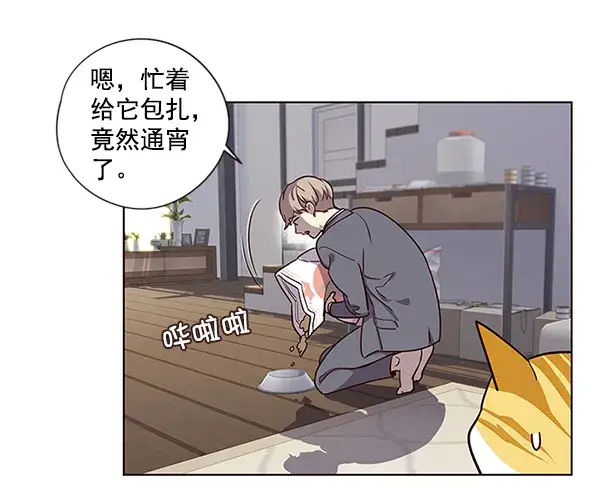 《觉醒吧，铲屎官！》第6话图43
