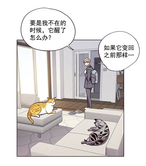 《觉醒吧，铲屎官！》第6话图47