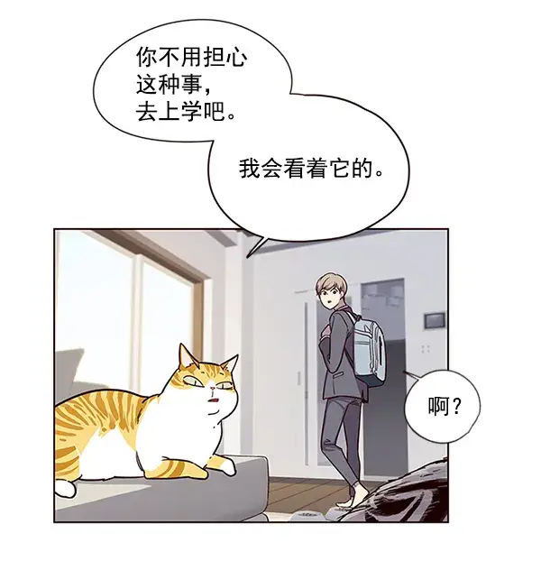 《觉醒吧，铲屎官！》第6话图48