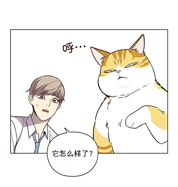 《觉醒吧，铲屎官！》第6话图6