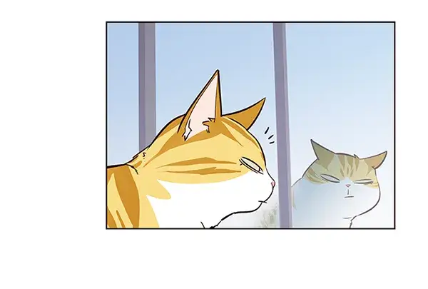 《觉醒吧，铲屎官！》第6话图64