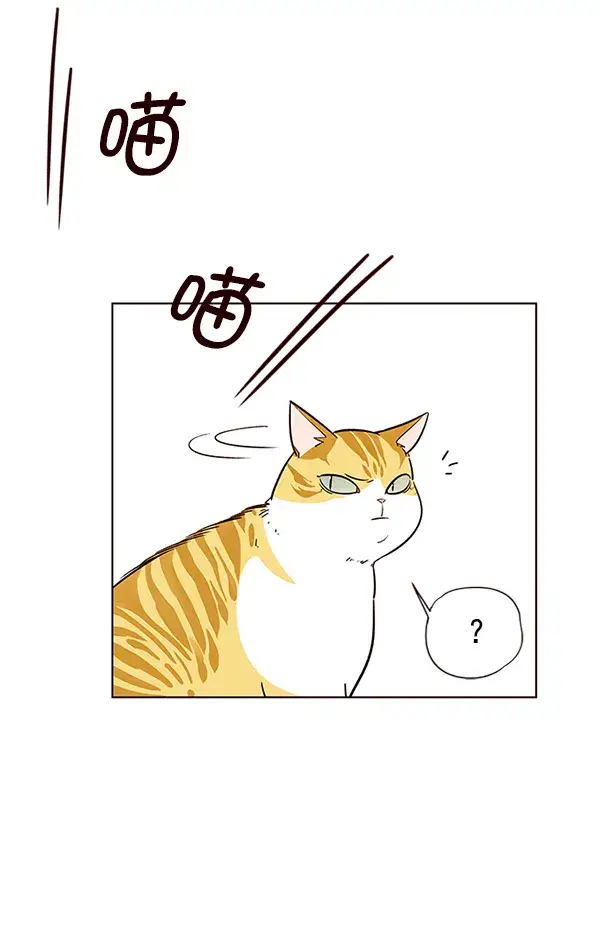 《觉醒吧，铲屎官！》第6话图66