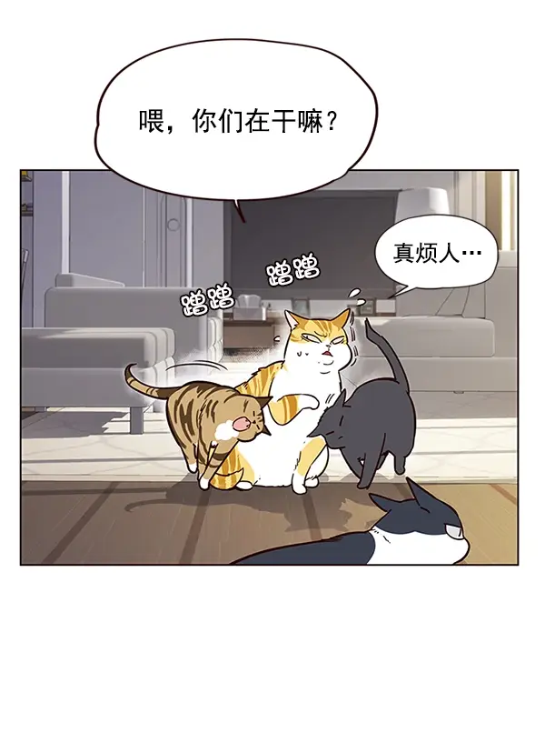 《觉醒吧，铲屎官！》第6话图69