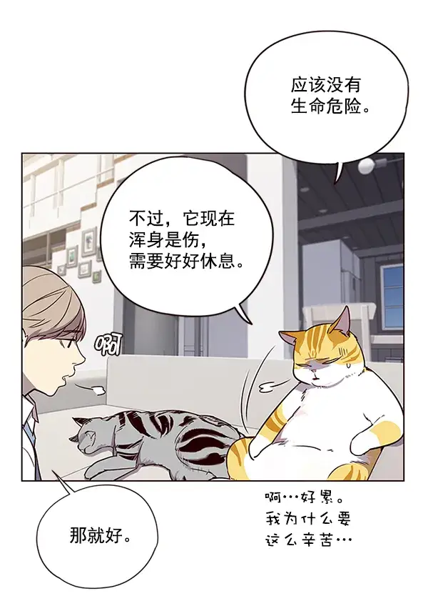 《觉醒吧，铲屎官！》第6话图7