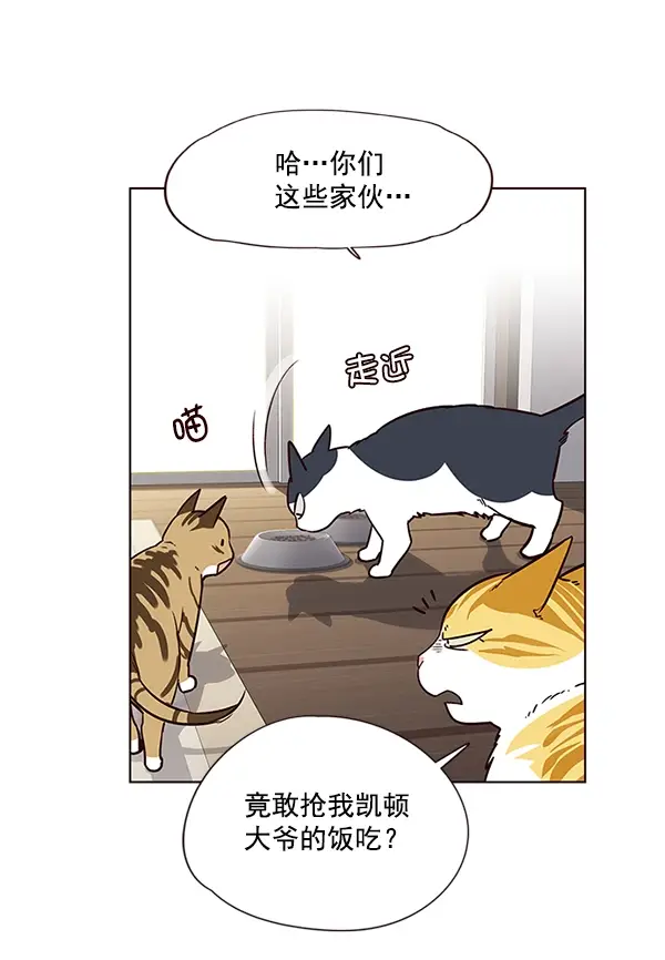 《觉醒吧，铲屎官！》第6话图70