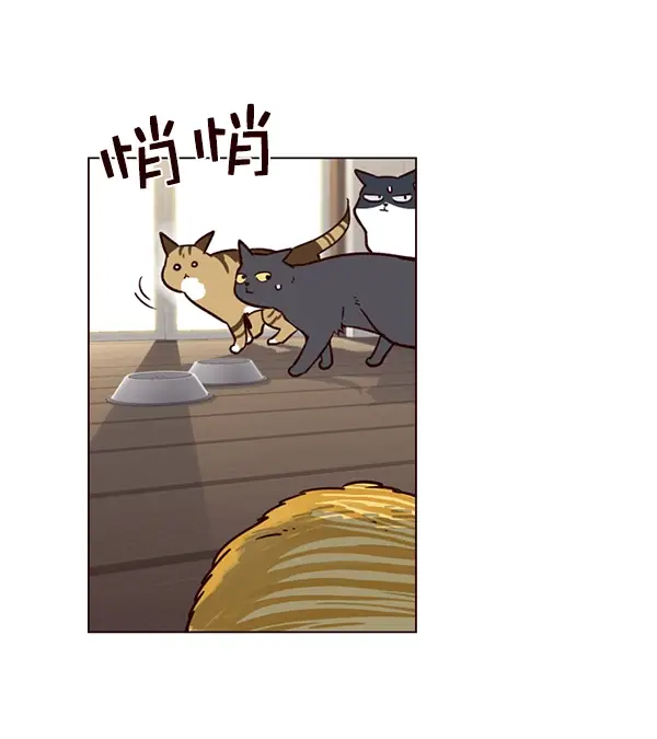 《觉醒吧，铲屎官！》第6话图80