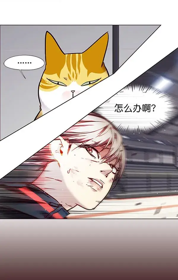 漫画《觉醒吧，铲屎官！》第87话第61张图