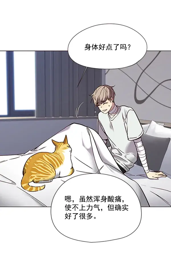漫画《觉醒吧，铲屎官！》第88话第20张图