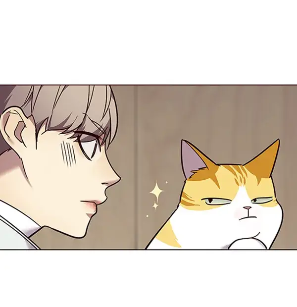 漫画《觉醒吧，铲屎官！》第88话第31张图