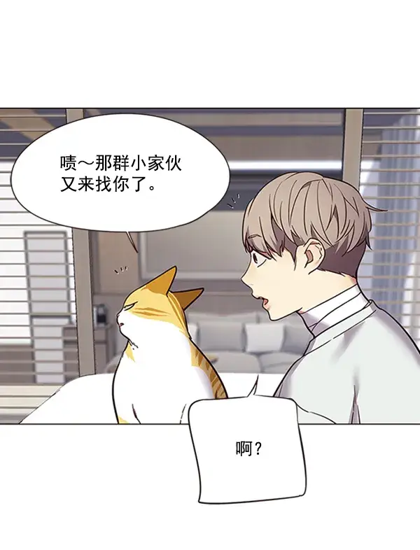 漫画《觉醒吧，铲屎官！》第88话第36张图