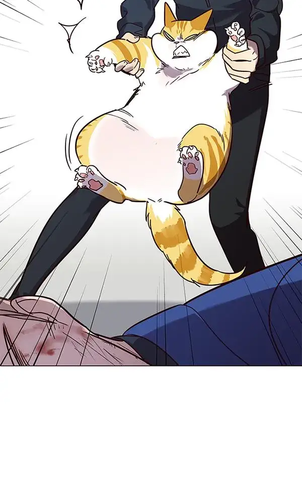 漫画《觉醒吧，铲屎官！》第89话第107张图