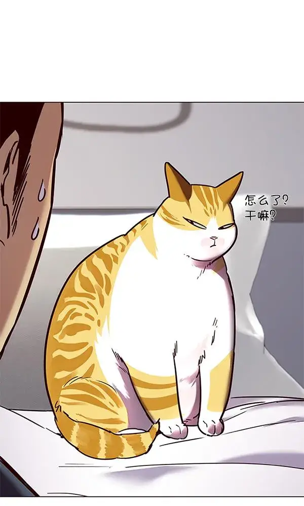 漫画《觉醒吧，铲屎官！》第89话第27张图