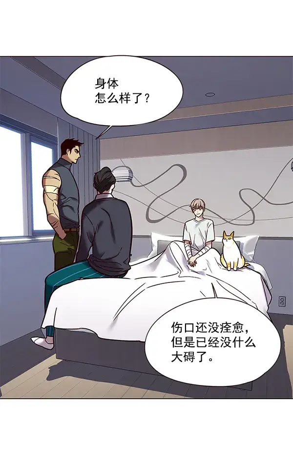 漫画《觉醒吧，铲屎官！》第89话第3张图