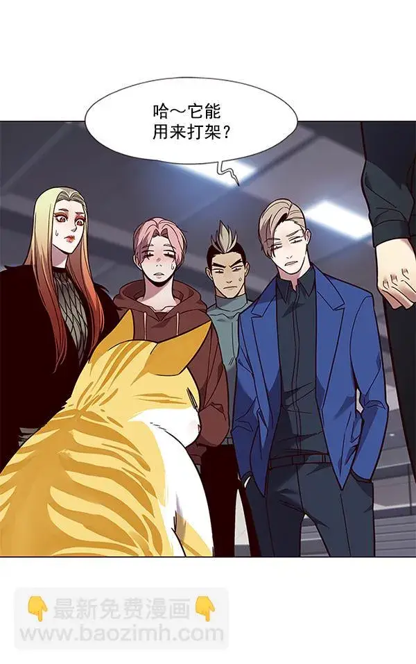 漫画《觉醒吧，铲屎官！》第89话第55张图