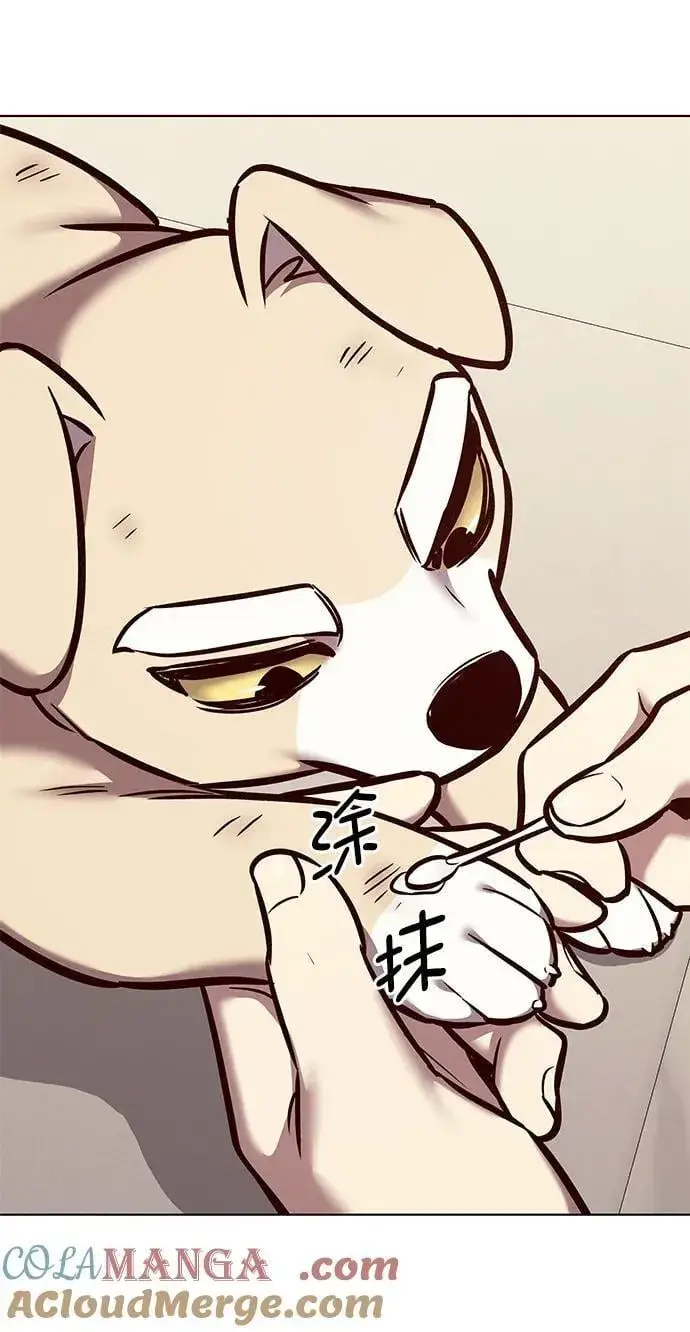 漫画《觉醒吧，铲屎官！》第294话第40张图