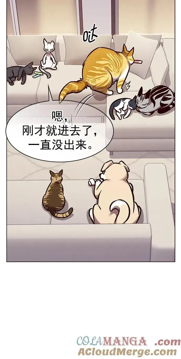 漫画《觉醒吧，铲屎官！》第294话第58张图