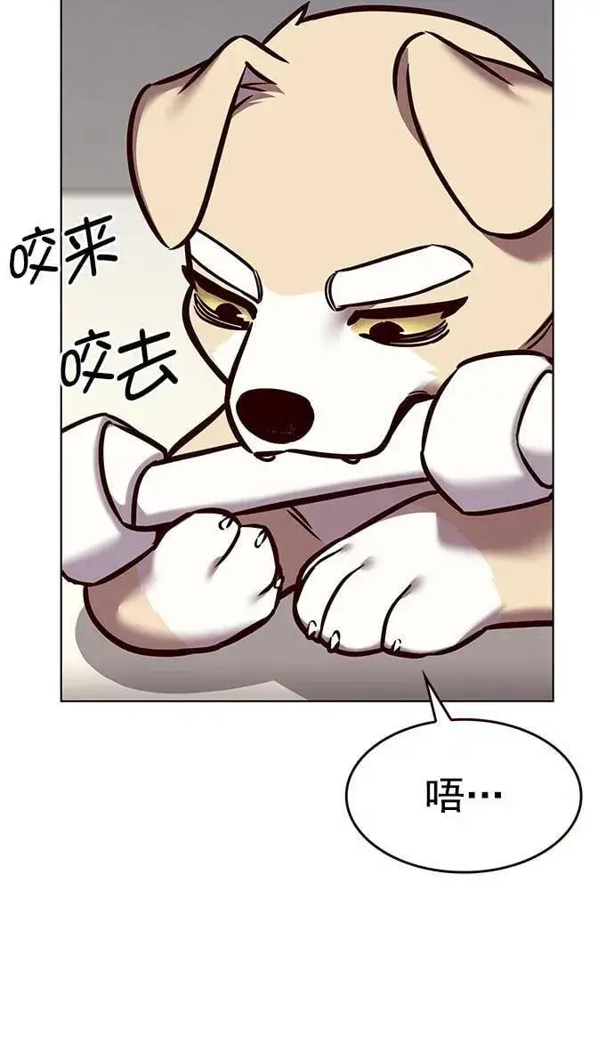 漫画《觉醒吧，铲屎官！》第294话第68张图