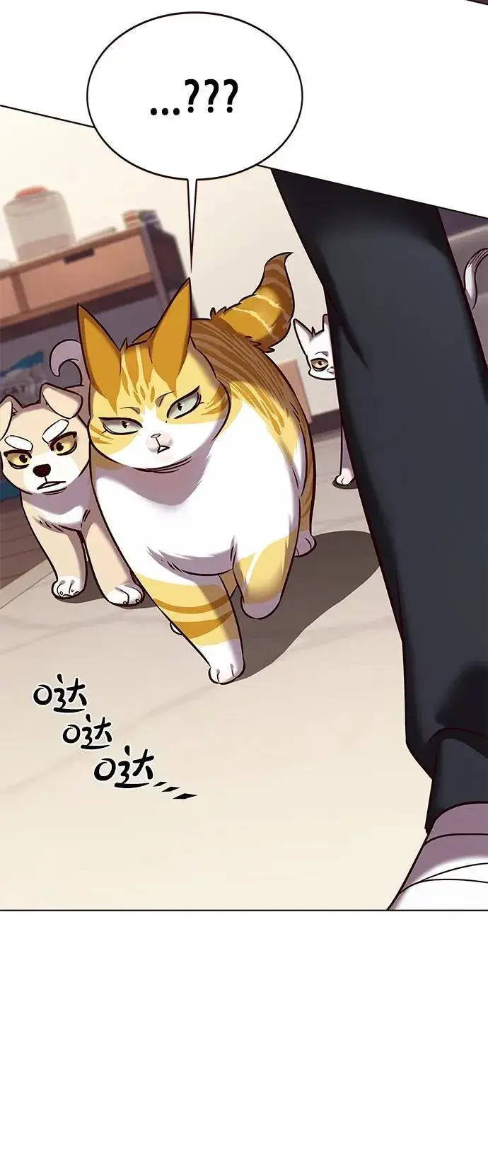 漫画《觉醒吧，铲屎官！》第305话第60张图