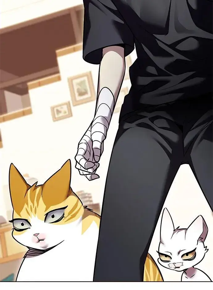 漫画《觉醒吧，铲屎官！》第305话第63张图