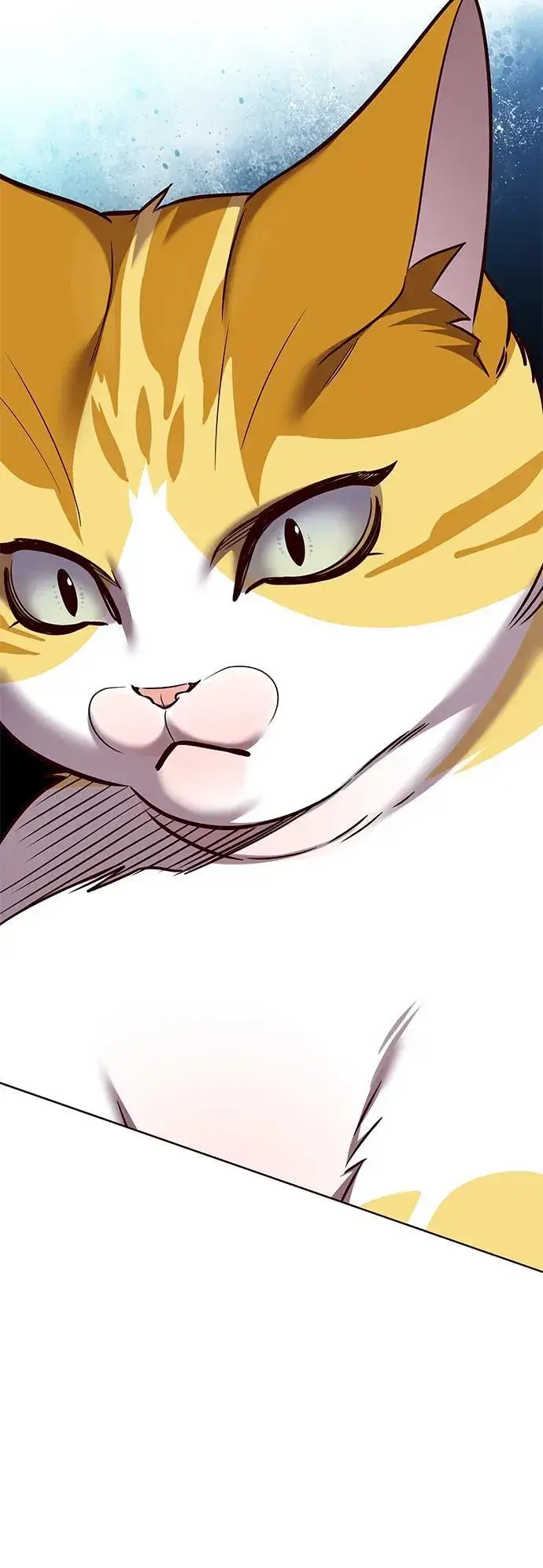 漫画《觉醒吧，铲屎官！》第309话第62张图