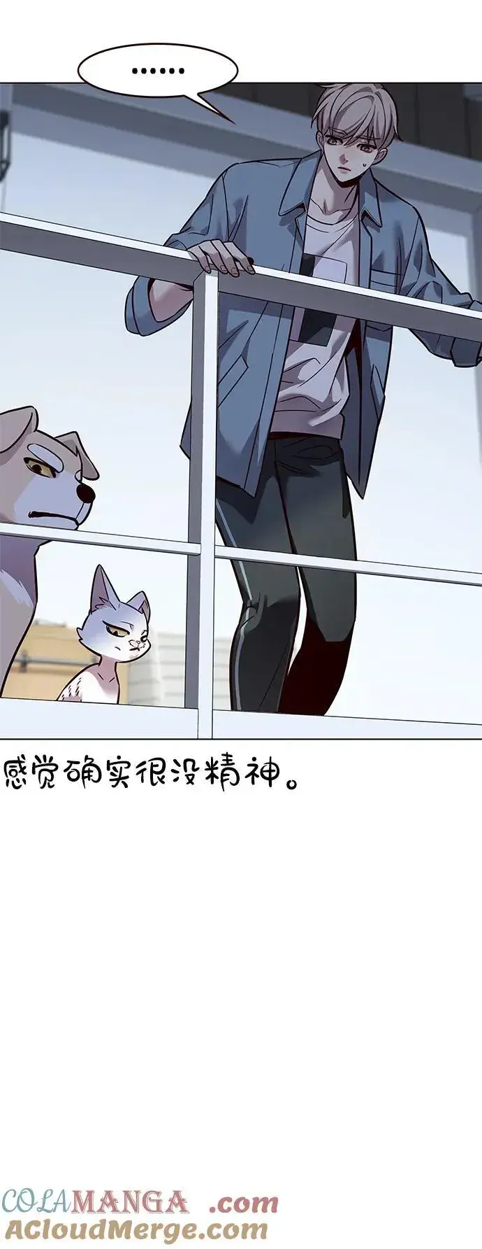 漫画《觉醒吧，铲屎官！》第323话第19张图