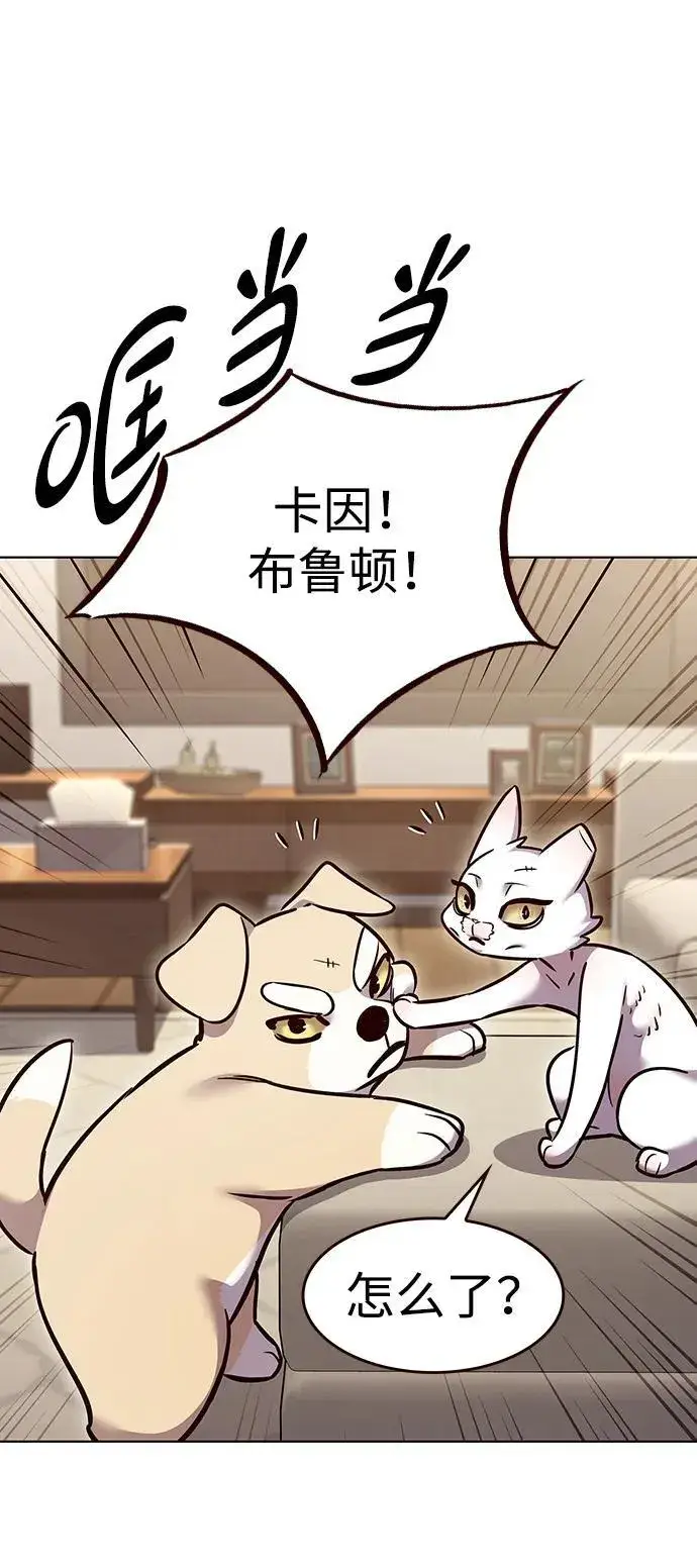 漫画《觉醒吧，铲屎官！》第323话第36张图