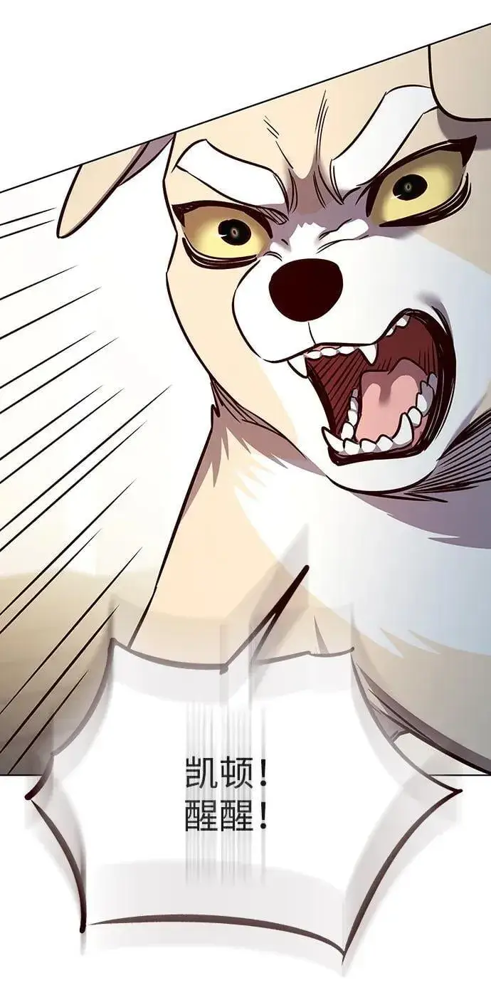 漫画《觉醒吧，铲屎官！》第323话第71张图