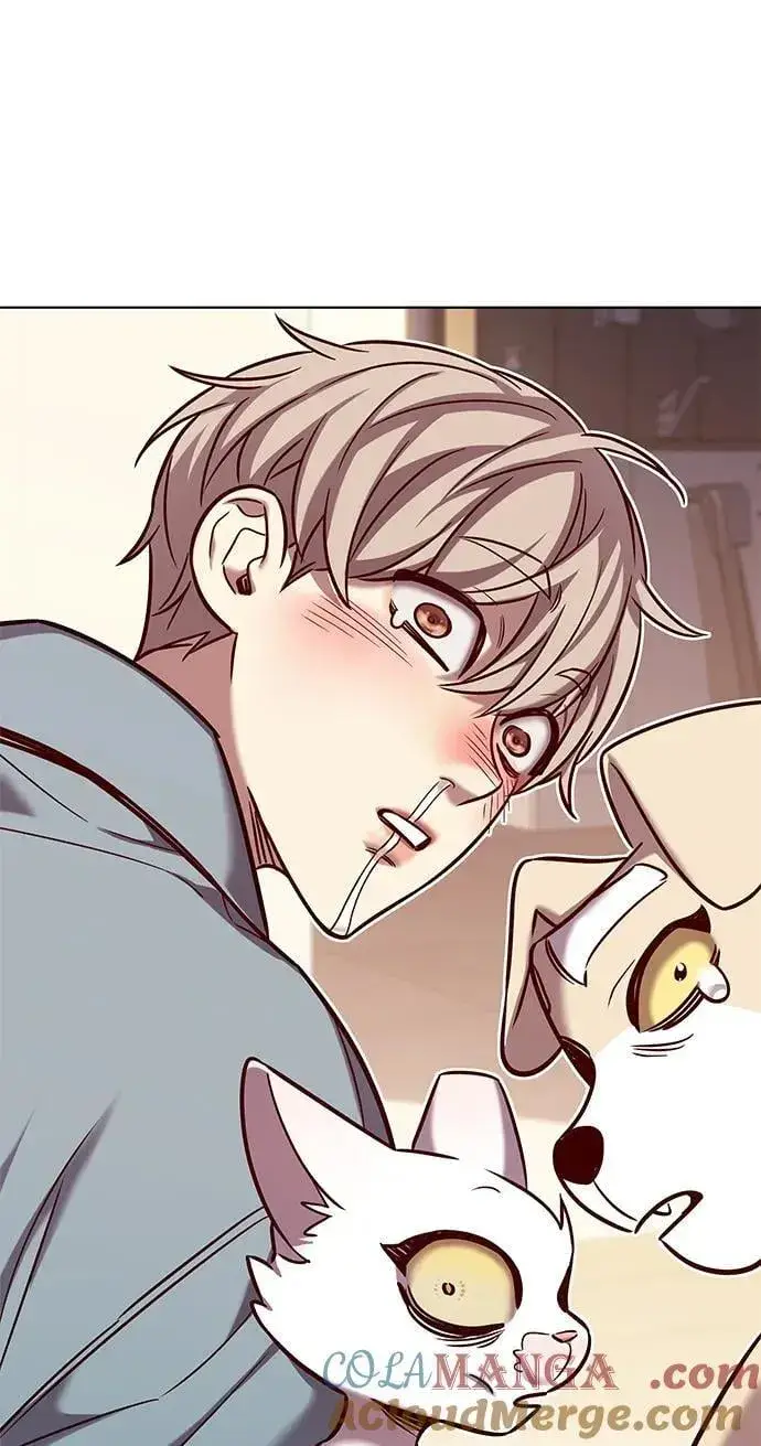 漫画《觉醒吧，铲屎官！》第323话第82张图