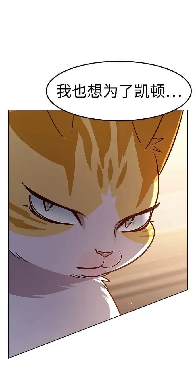 漫画《觉醒吧，铲屎官！》第325话第36张图