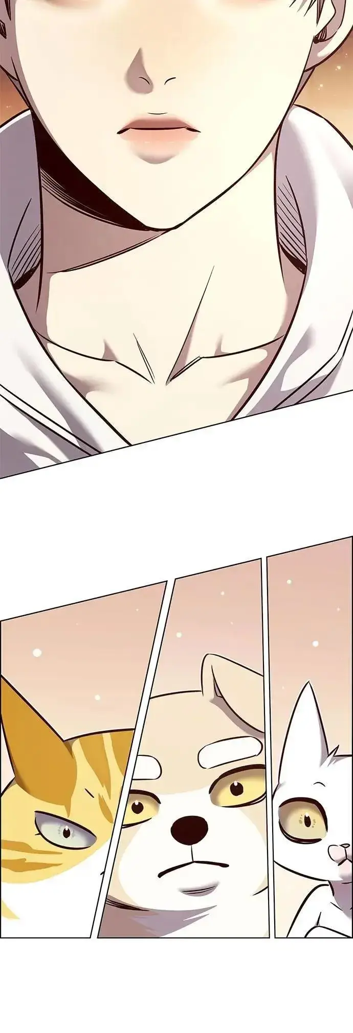 漫画《觉醒吧，铲屎官！》第329话第15张图