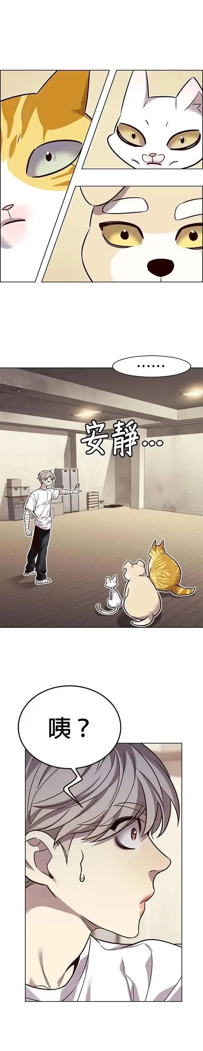 漫画《觉醒吧，铲屎官！》第330话第25张图