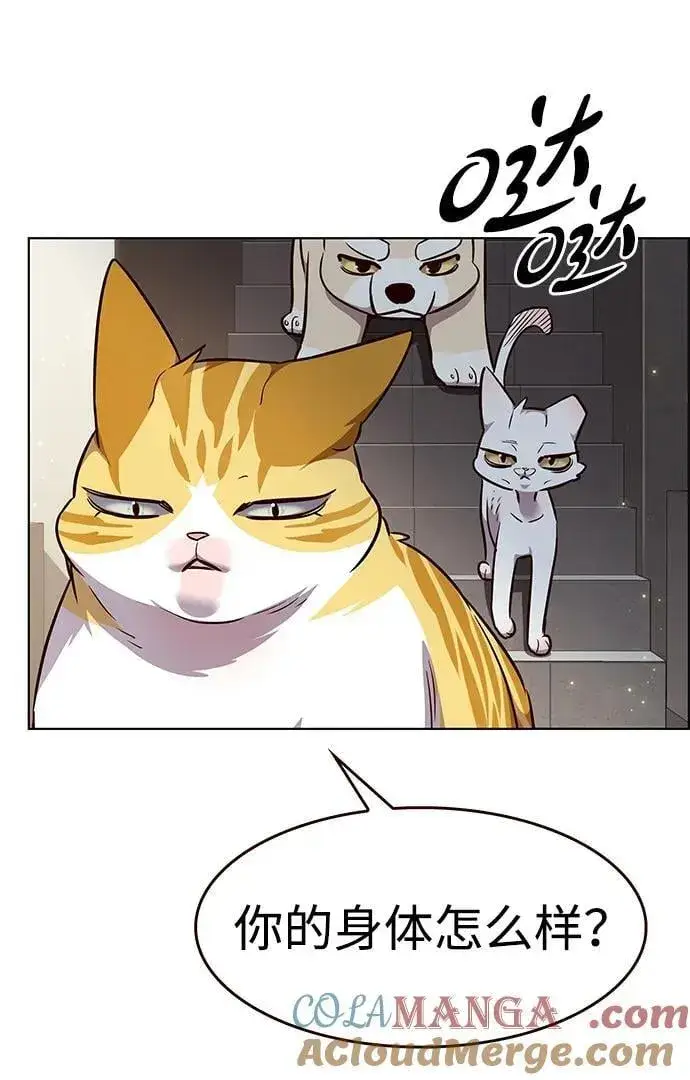 《觉醒吧，铲屎官！》第337话图28