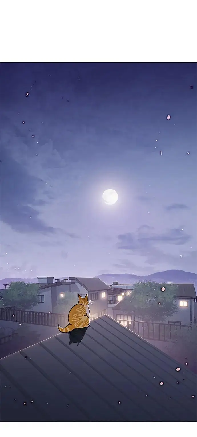 《觉醒吧，铲屎官！》第364话图35
