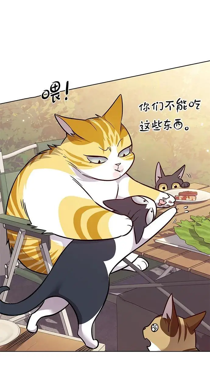 《觉醒吧，铲屎官！》第366话图59