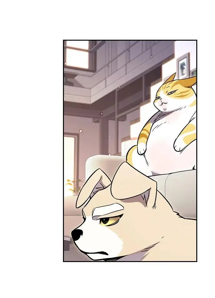 《觉醒吧，铲屎官！》第370话图29