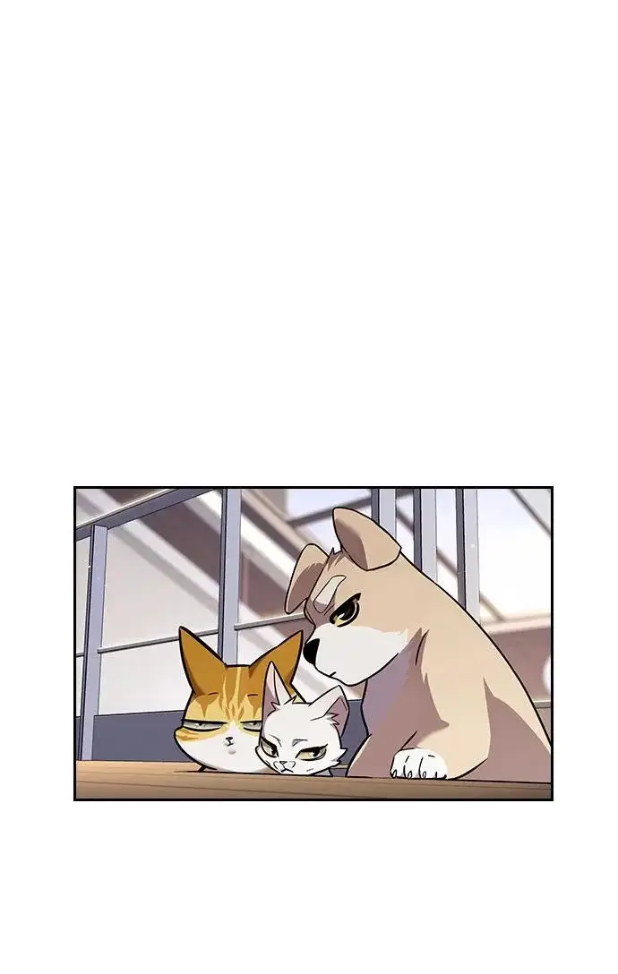 漫画《觉醒吧，铲屎官！》第403话第233张图