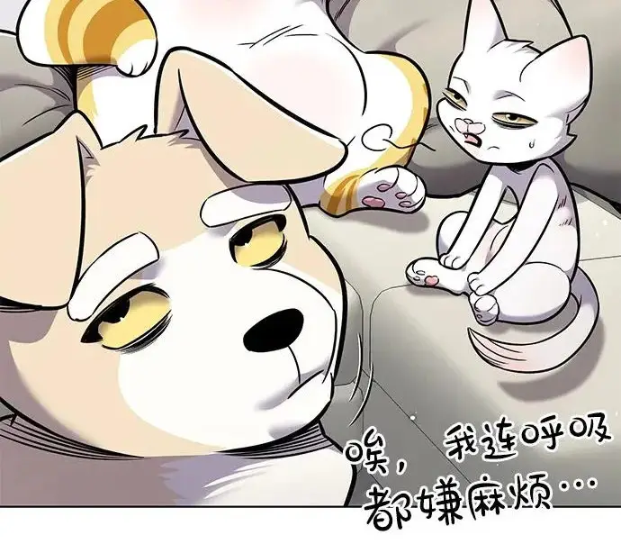 《觉醒吧，铲屎官！》第406话图176