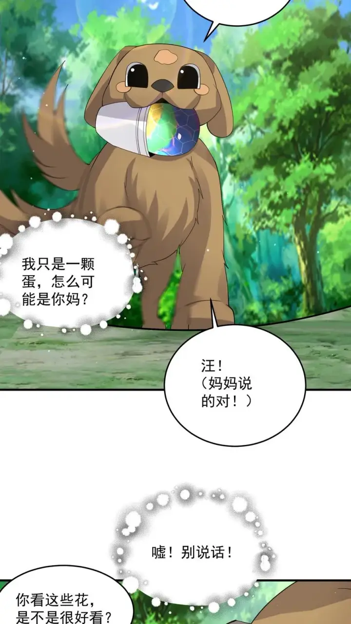 《开局直播地府：这直播间谁敢上啊》第281话 爱上石头！图14