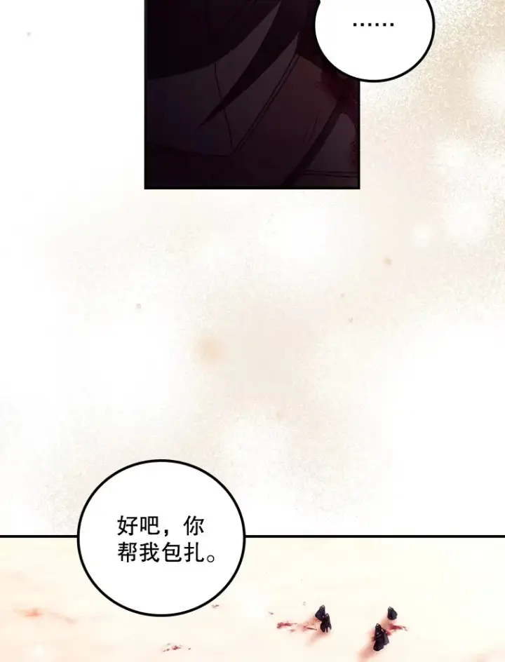 《看见你的结局》42.团长娜西尔图73