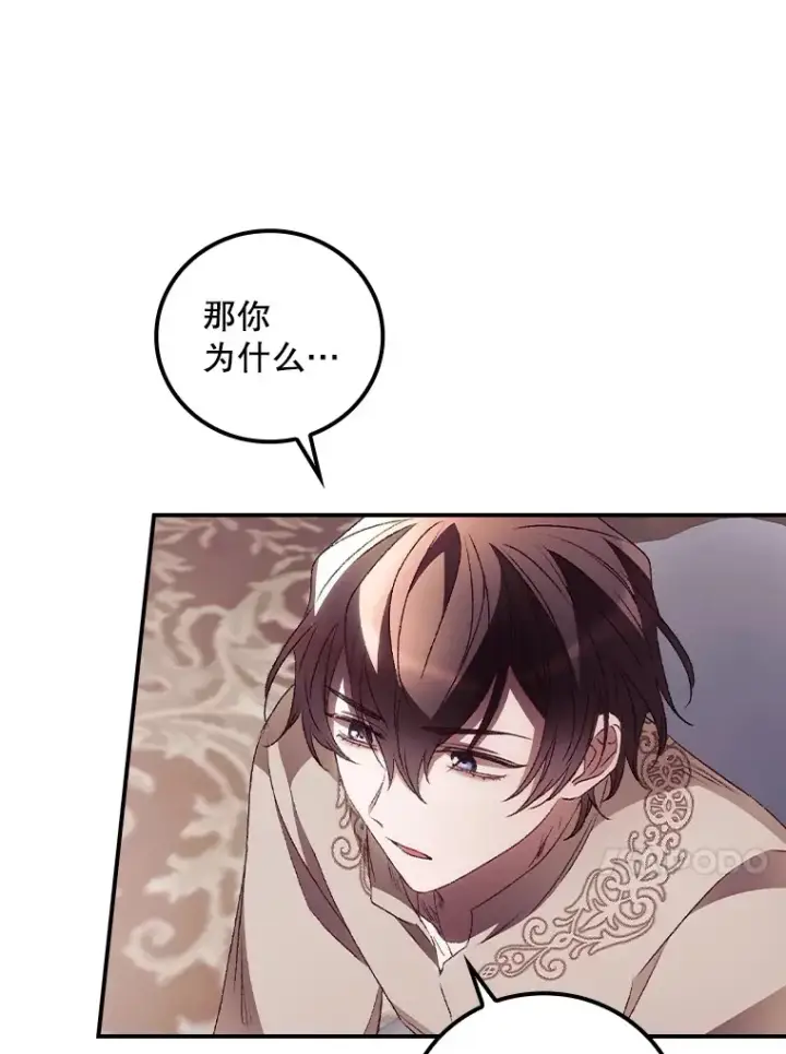《看见你的结局》43.二皇子图53