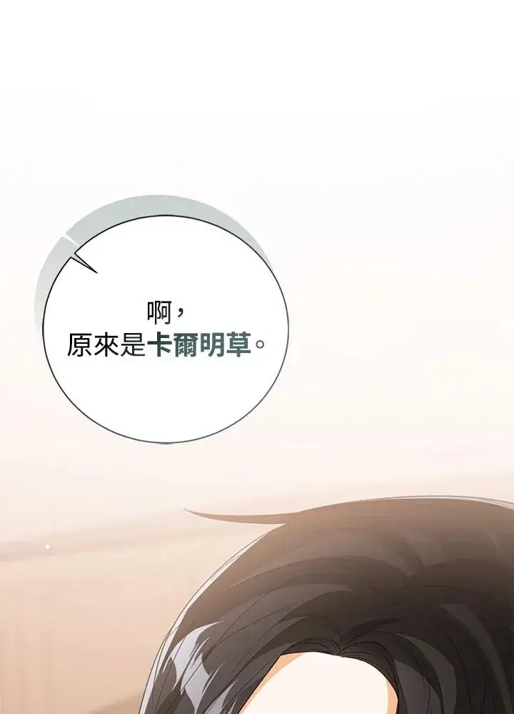 漫画《看见状态栏的宝贝皇女》第87话第26张图