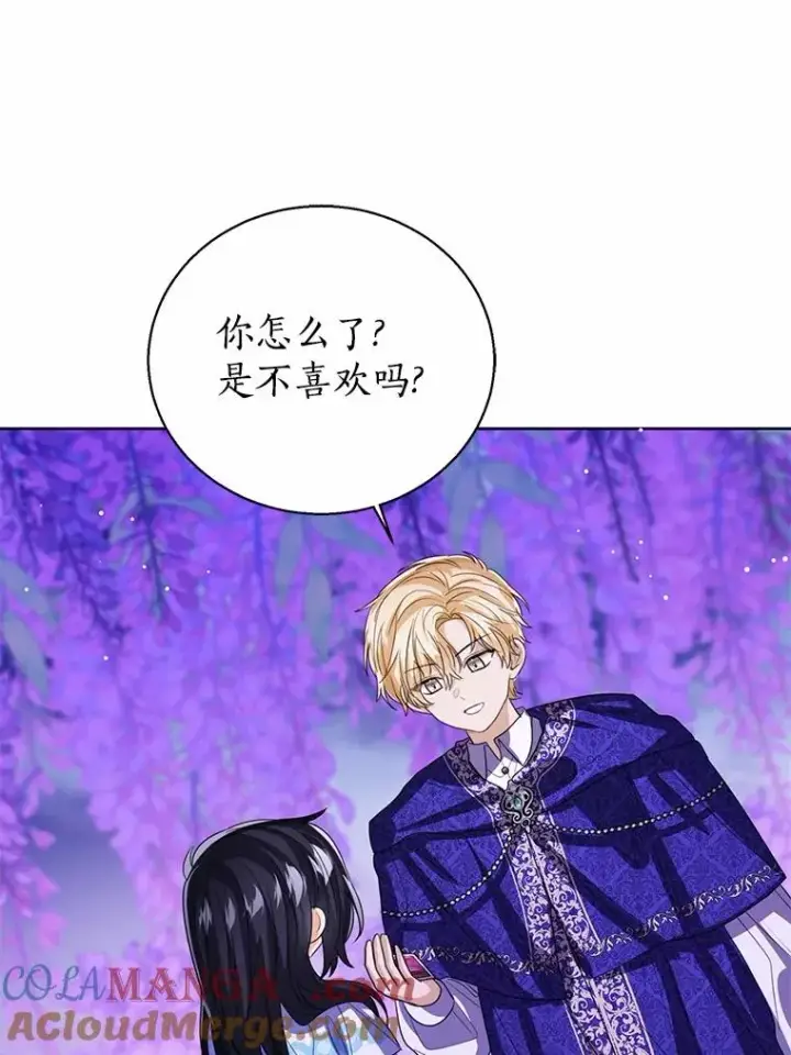 《看见状态栏的宝贝皇女》106.消失的它图37