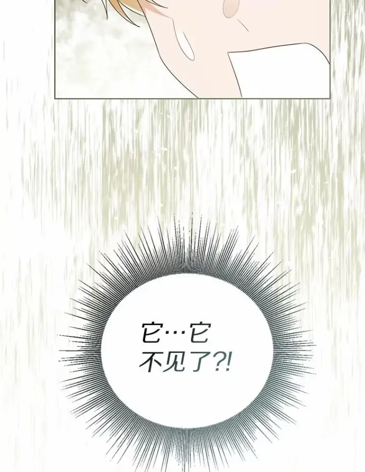 《看见状态栏的宝贝皇女》106.消失的它图50