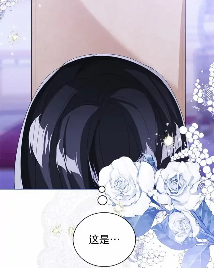 《看见状态栏的宝贝皇女》106.消失的它图79