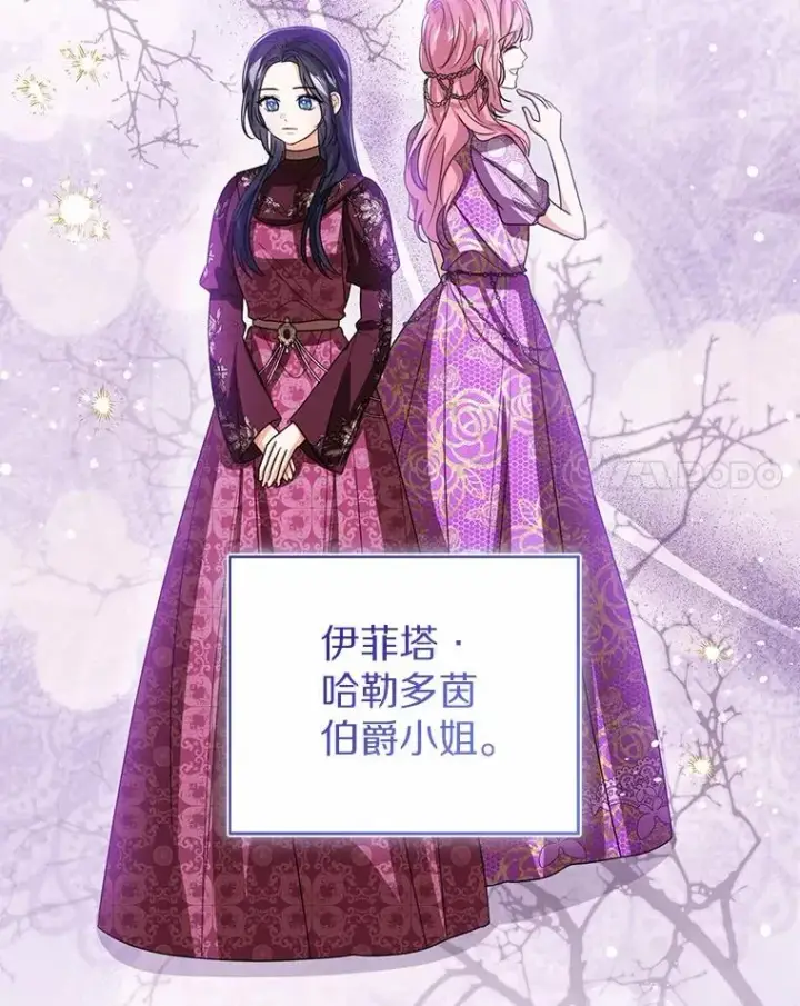 《看见状态栏的宝贝皇女》111.红色胸针事件（2）图84