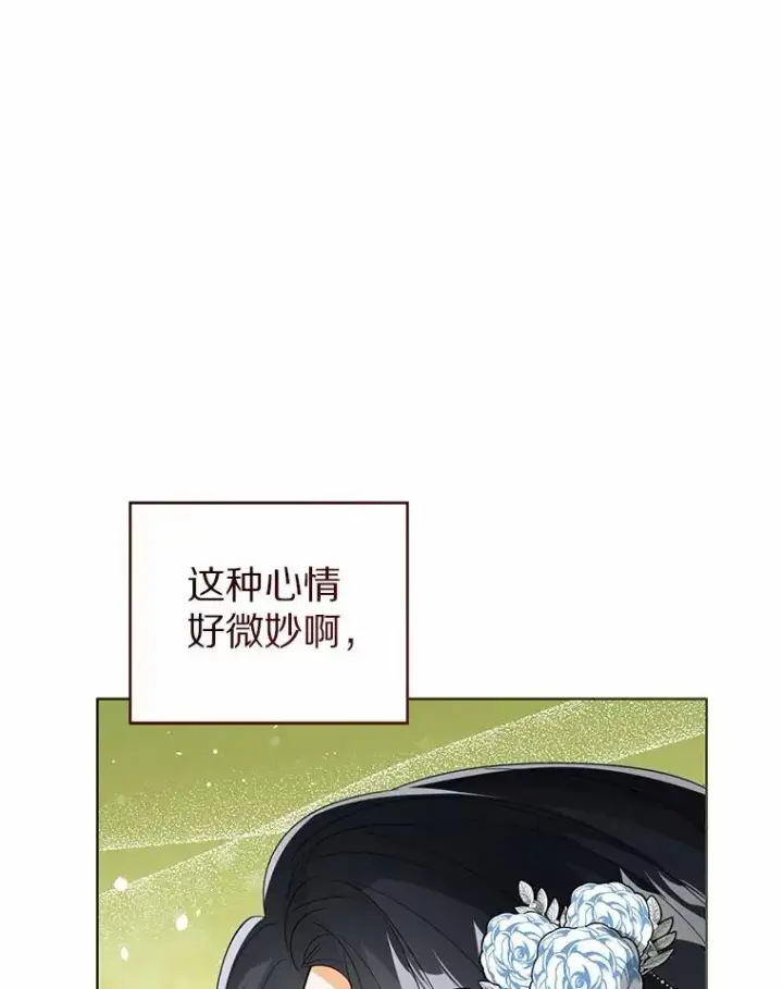 《看见状态栏的宝贝皇女》112.红色胸针事件（3）图26