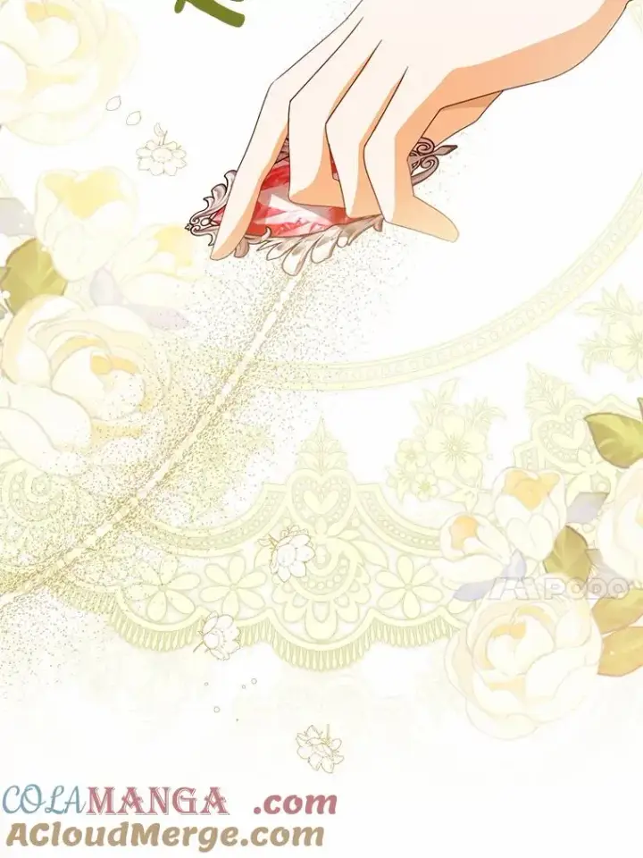 《看见状态栏的宝贝皇女》112.红色胸针事件（3）图97