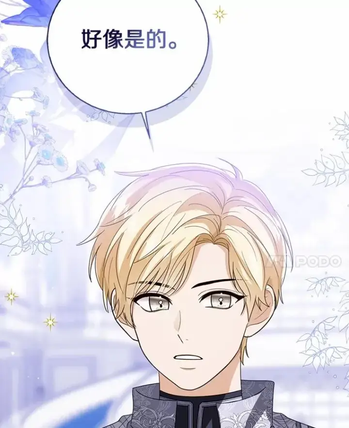 《看见状态栏的宝贝皇女》114.红色胸针事件（5）图123