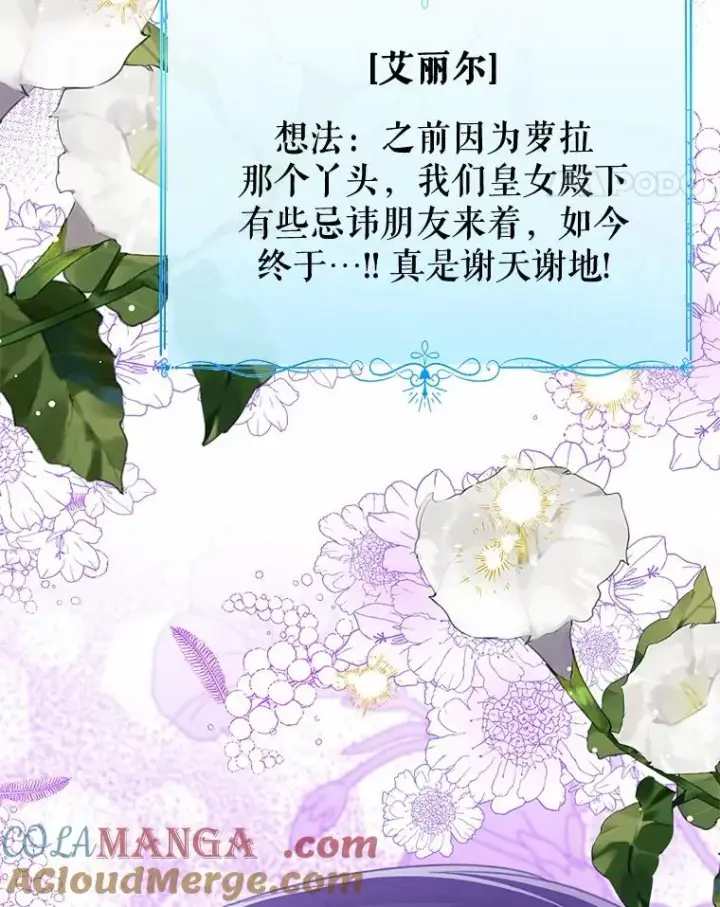 《看见状态栏的宝贝皇女》119.召开茶会图45