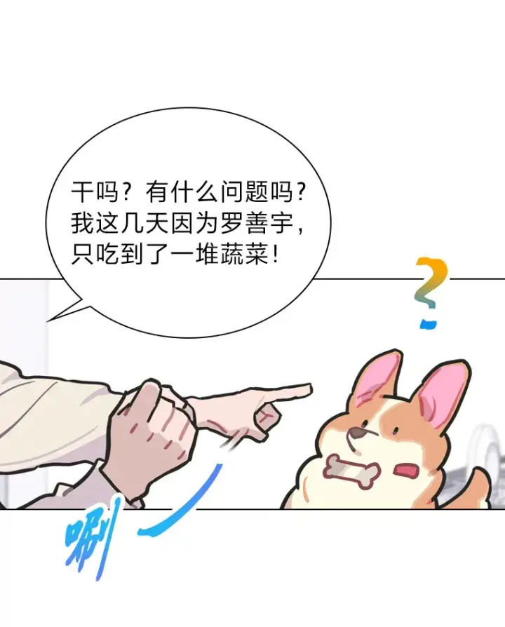 《靠手艺红出圈的糊团爱豆》7.辣眼的黑历史图59